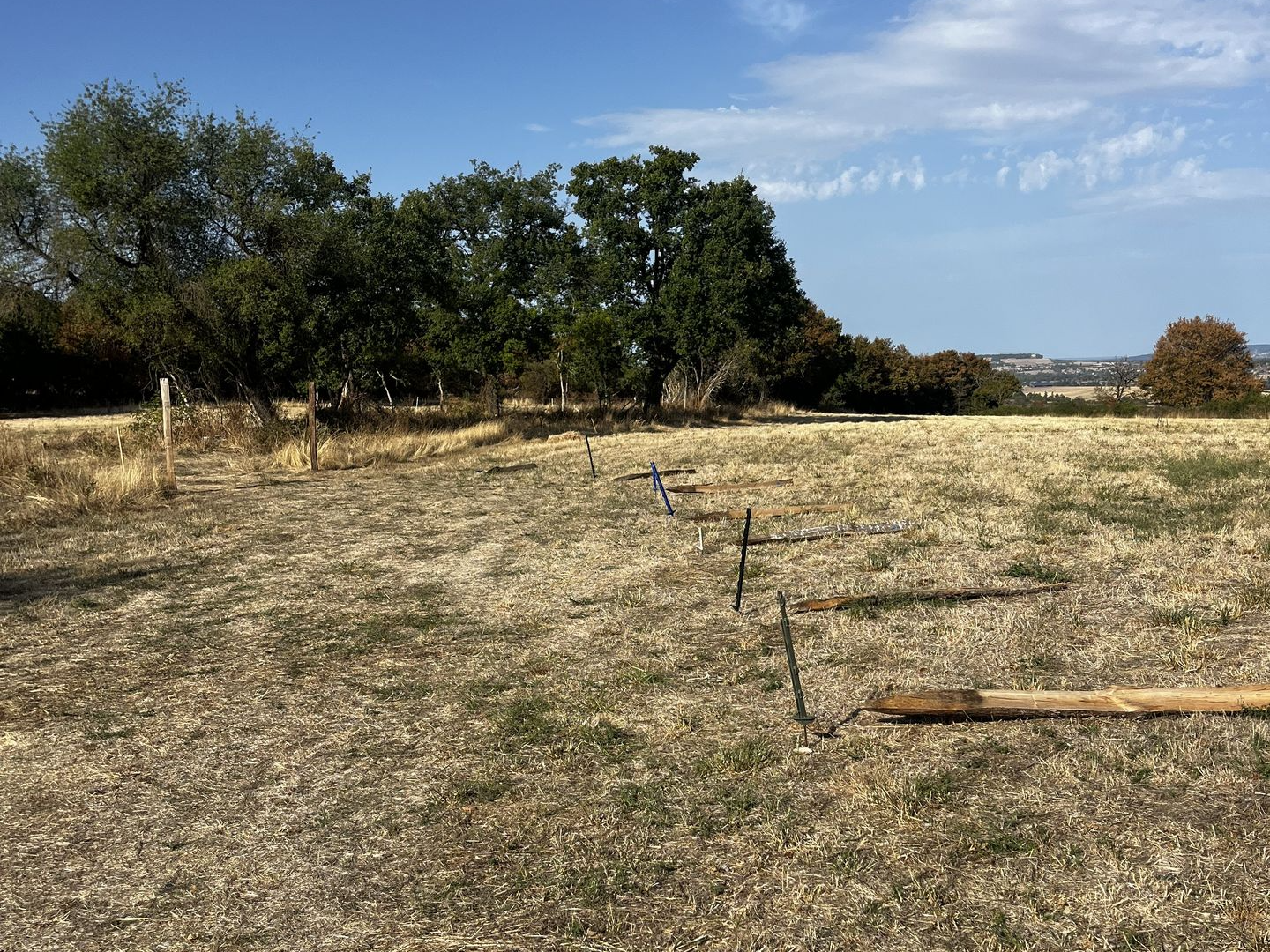 Le tracé des futures clôtures se déssine progressivement sur le terrain. Implantation des piquets pour délimiter une pâture destinée aux chevaux