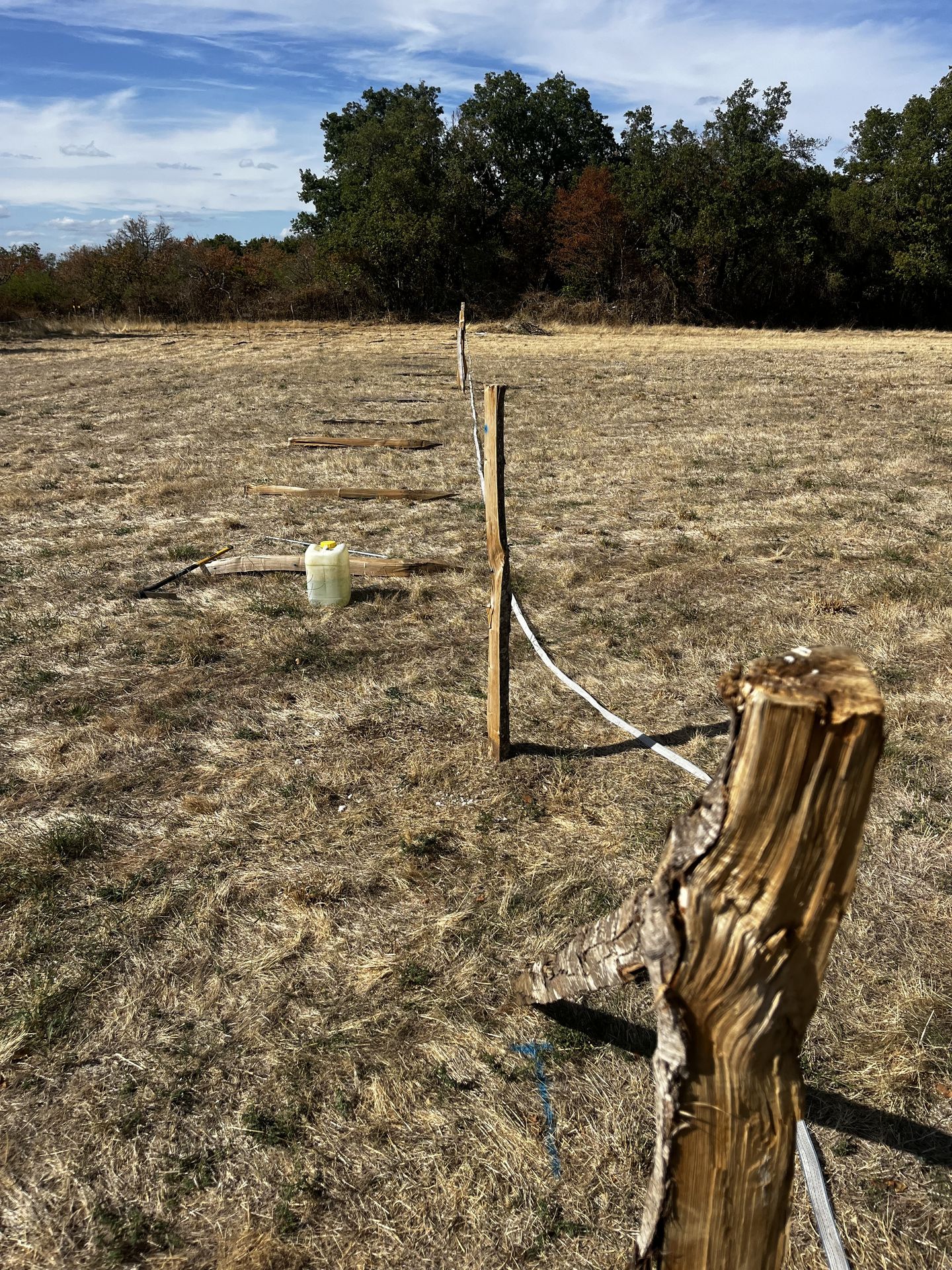 Les piquets prennent progressivement place et matérialisent le futur tracé de la clôture. Alignement des piquets d'une future clôture de pâture de chevaux